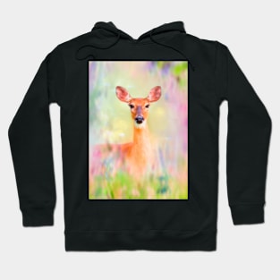 Summer Meadow Deer Hoodie